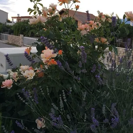 Miro Apartament