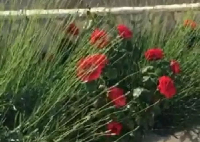 Miro Апартаменты