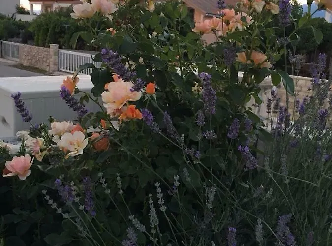 Miro Апартаменты