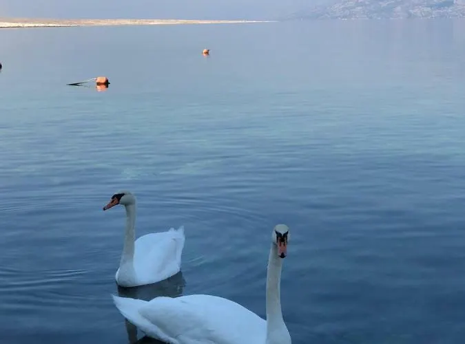 Апартаменты Miro *